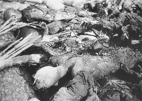 The charred remains of prisoners burned by the Germans before the liberation of the Maly Trostinets concentration camp